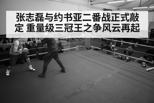 boxer training gym